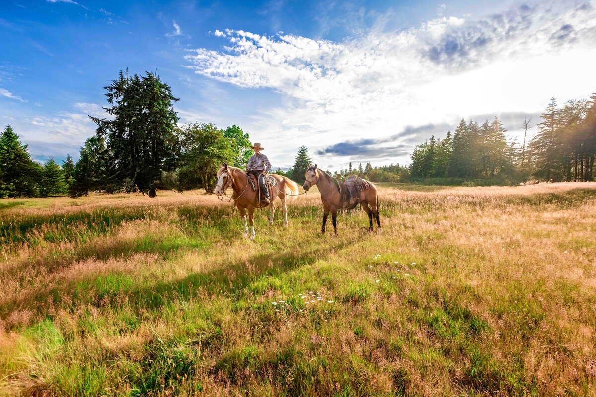 seattle-equine-photogrpaher