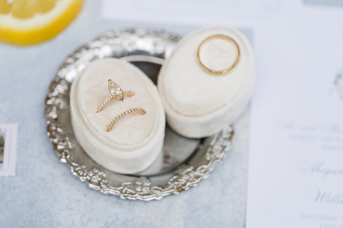 Elli-Row-Photography-Tate-House-Wedding_8848