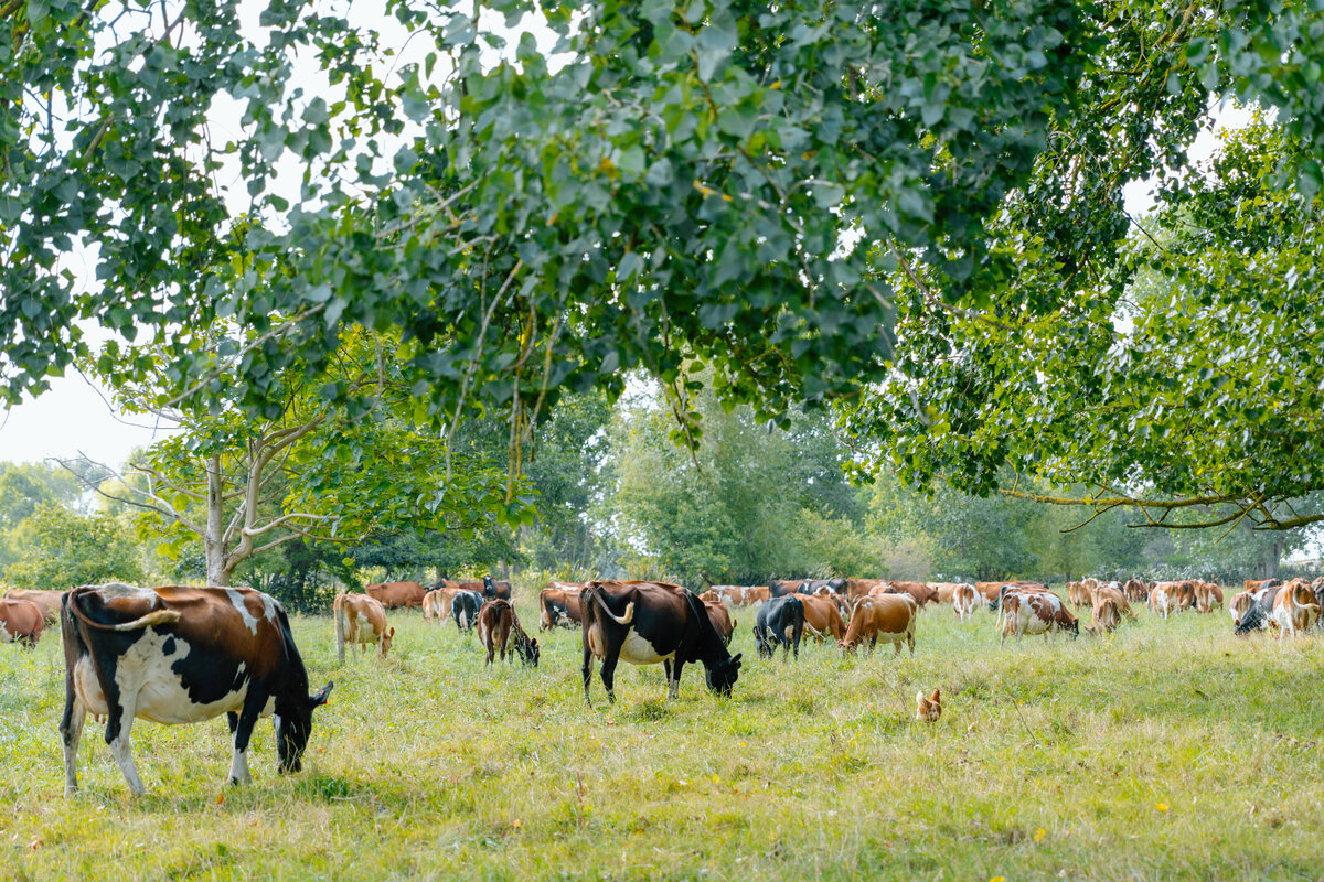 Rere_workeshop3-4-02.25-7325