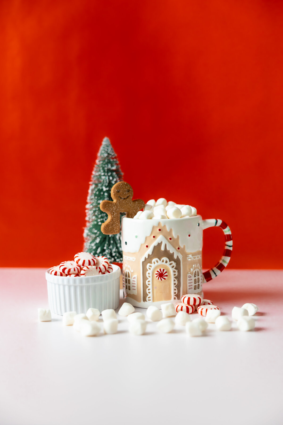 GingerbreadMug-001
