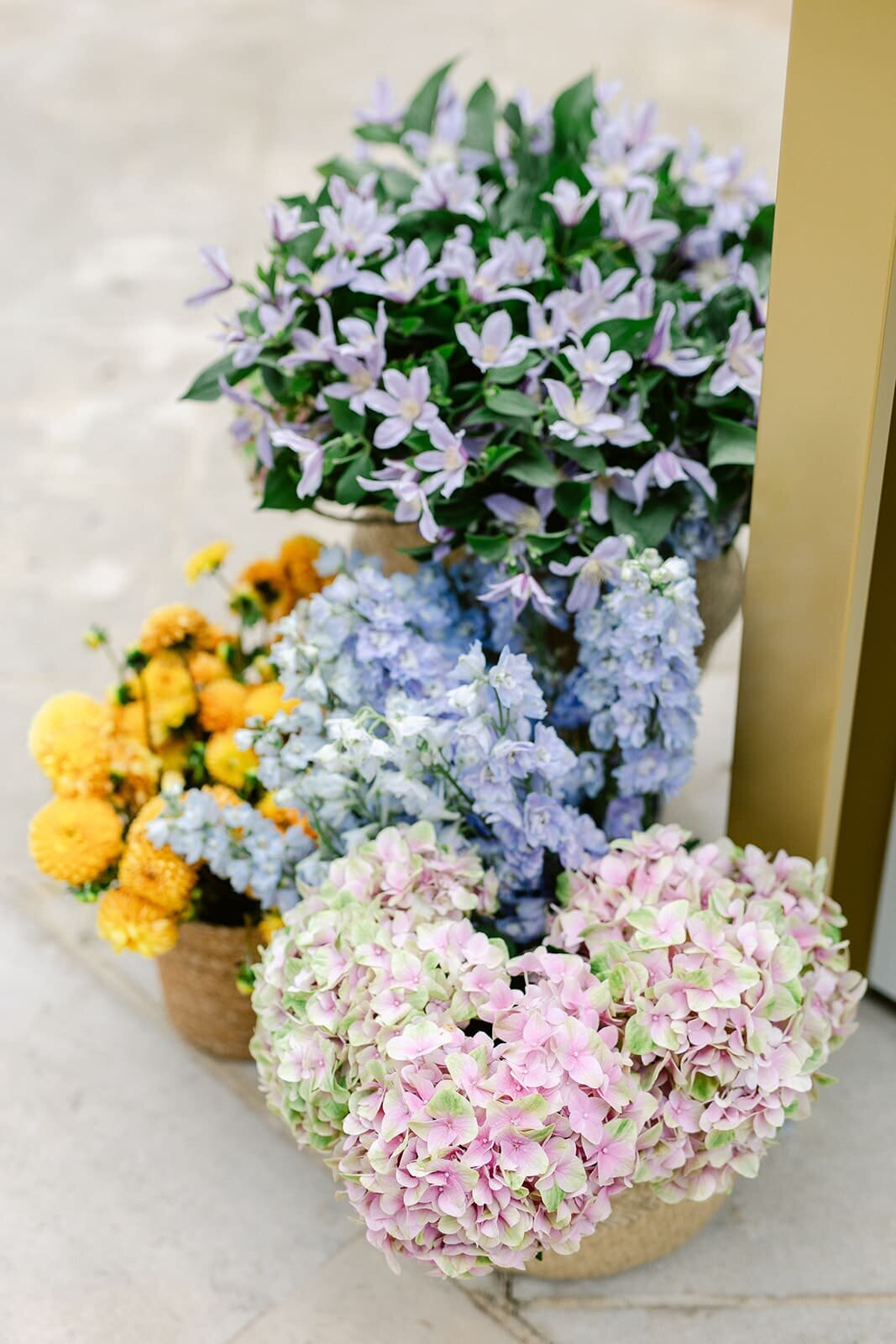 Bouquet-fleurs-hortensia-dahlia-pivoine