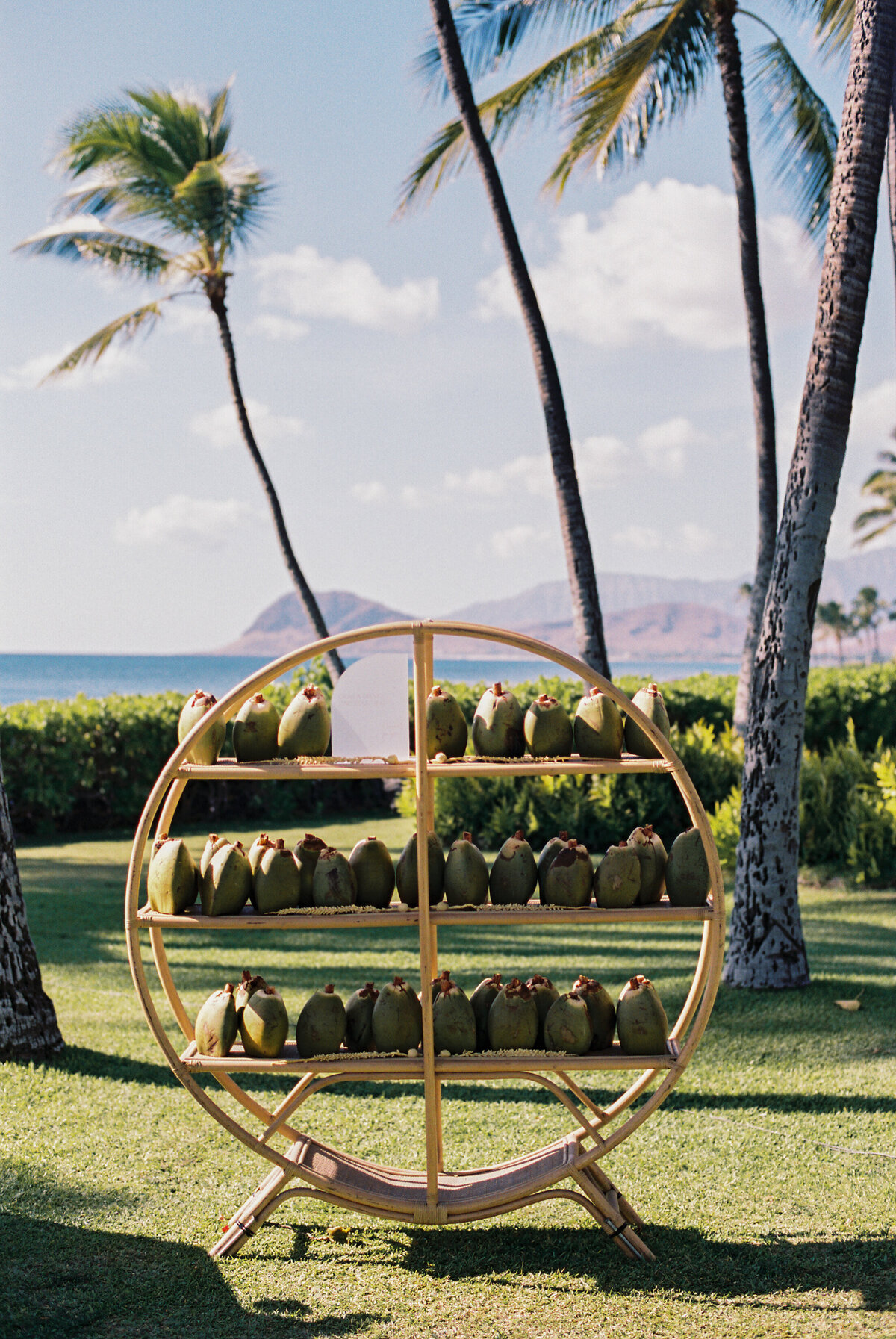 Lanikohonua Wedding by Amanda Hartfield-72