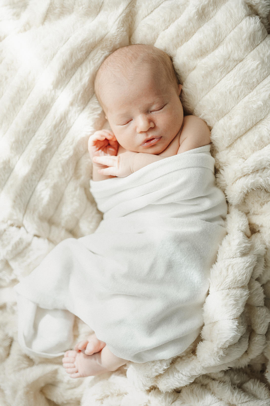 Melbourne in-home newborn photographer White Salt Photography4