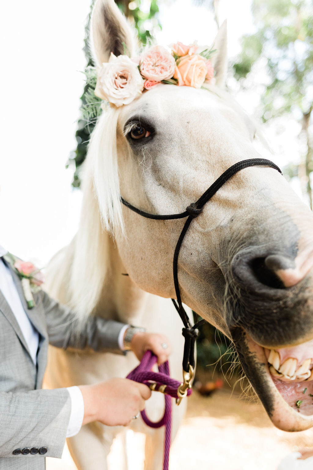 Romantic Southern California Elopement Ideas