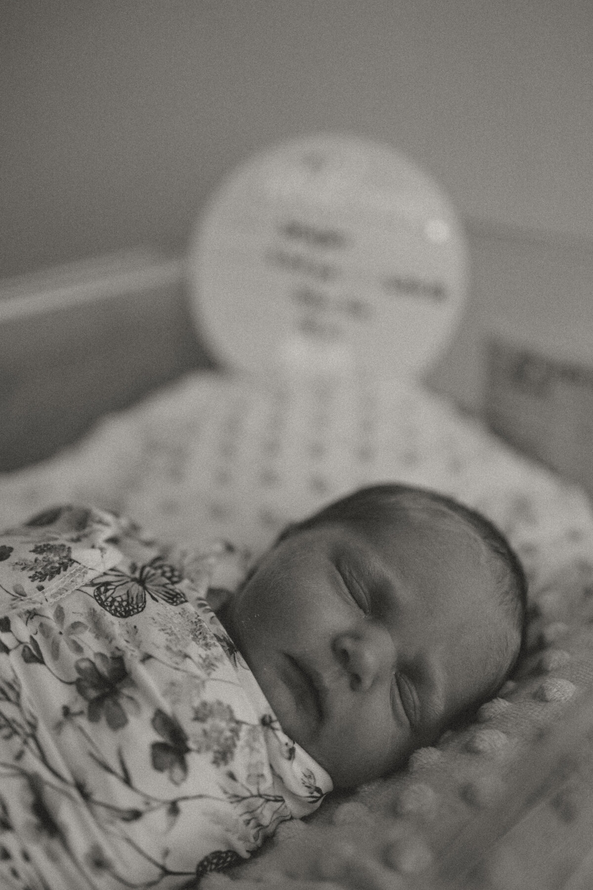 CindyG.Photography-1412