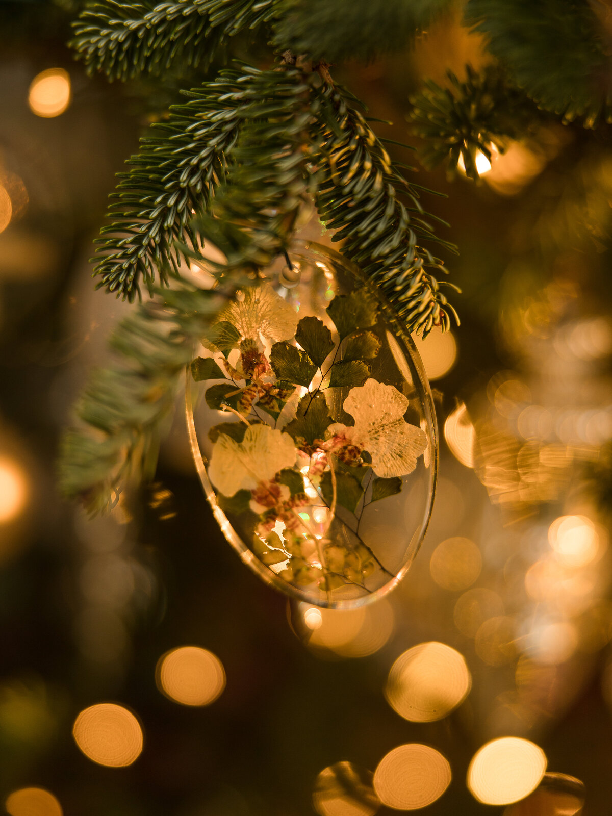 Longwood Christmas 2022_Full Size-11