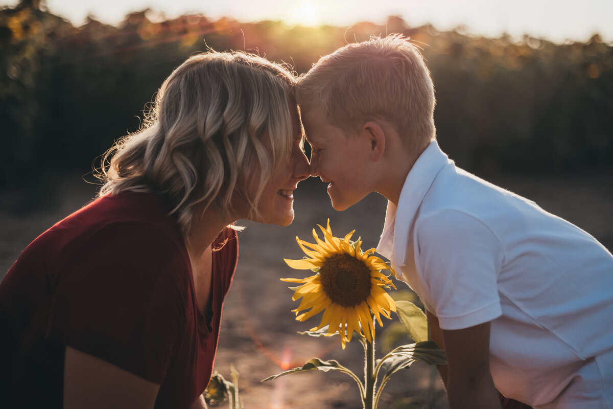 Martina Newport Photography - Mennenga : Sunflower