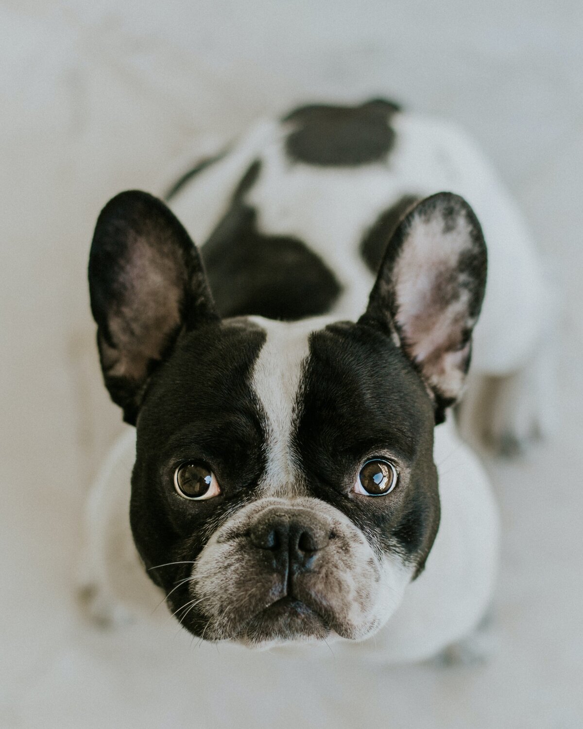 angelos-michalopoulos-VzG64C5T7p4-unsplash