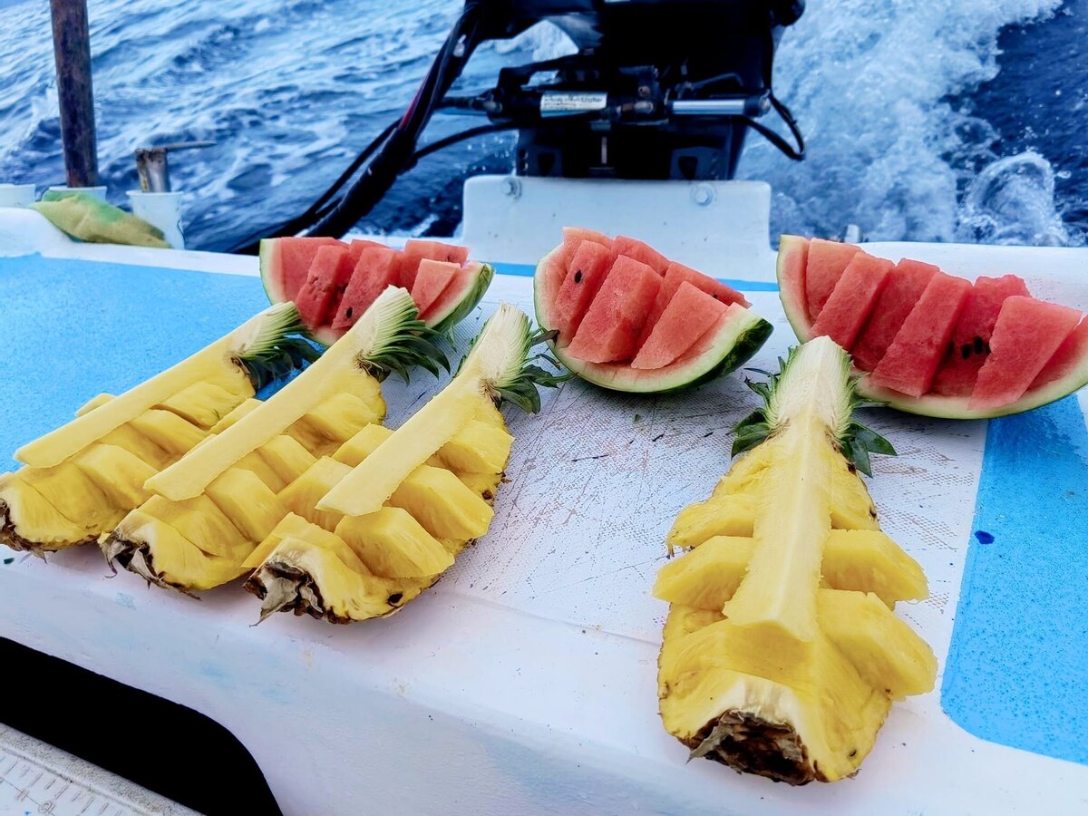 fruit
