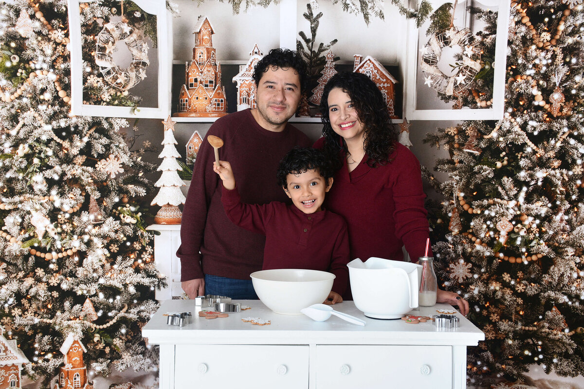 houstonchristmasbakingphotoshootmini (7)