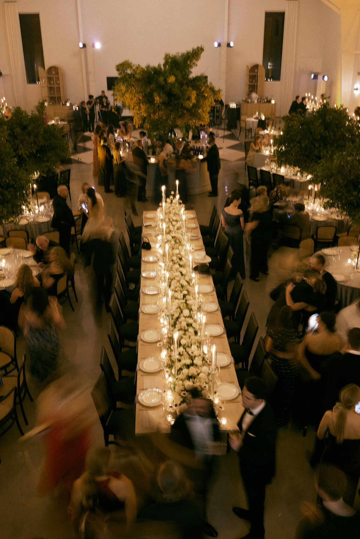 231202CAMEDD_adv0217