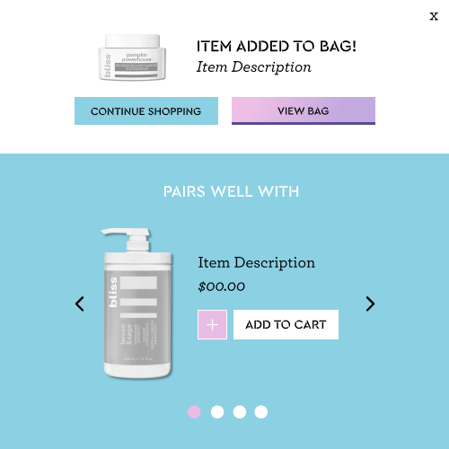 3 Bag_Rebuy Design Brief_Bliss Widget