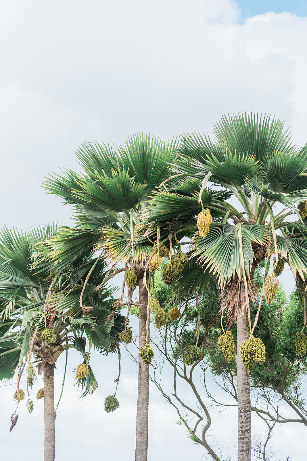 Maui-wedding-photographer9