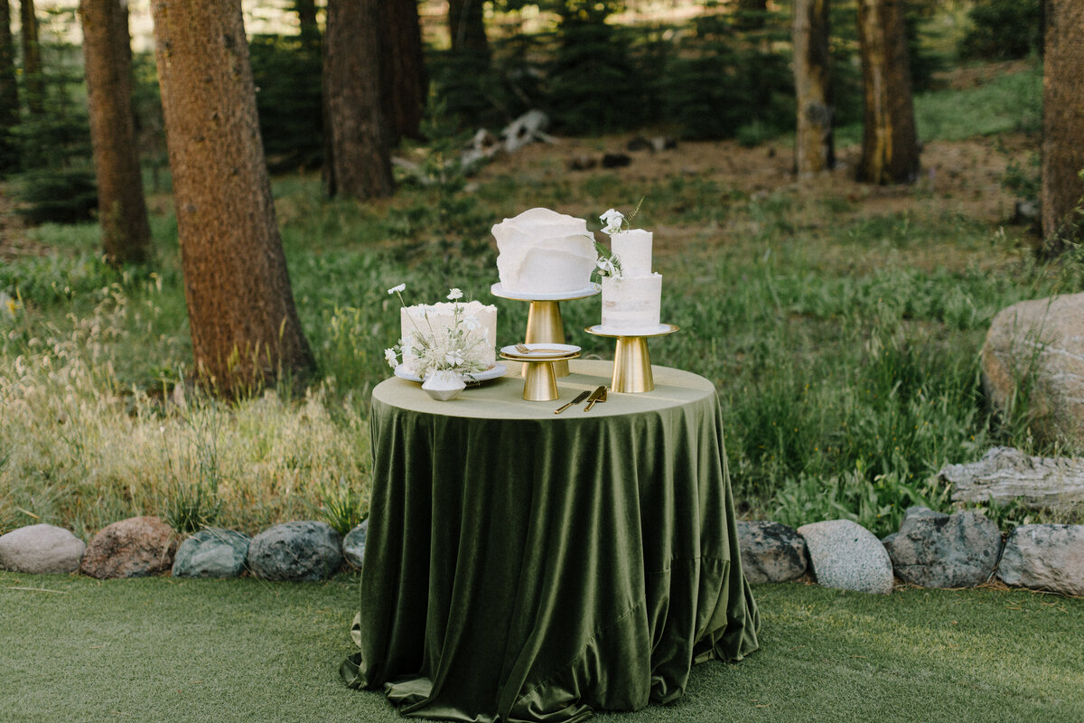 Lake-Tahoe-Wedding-Planner-Dancing-Pines-84