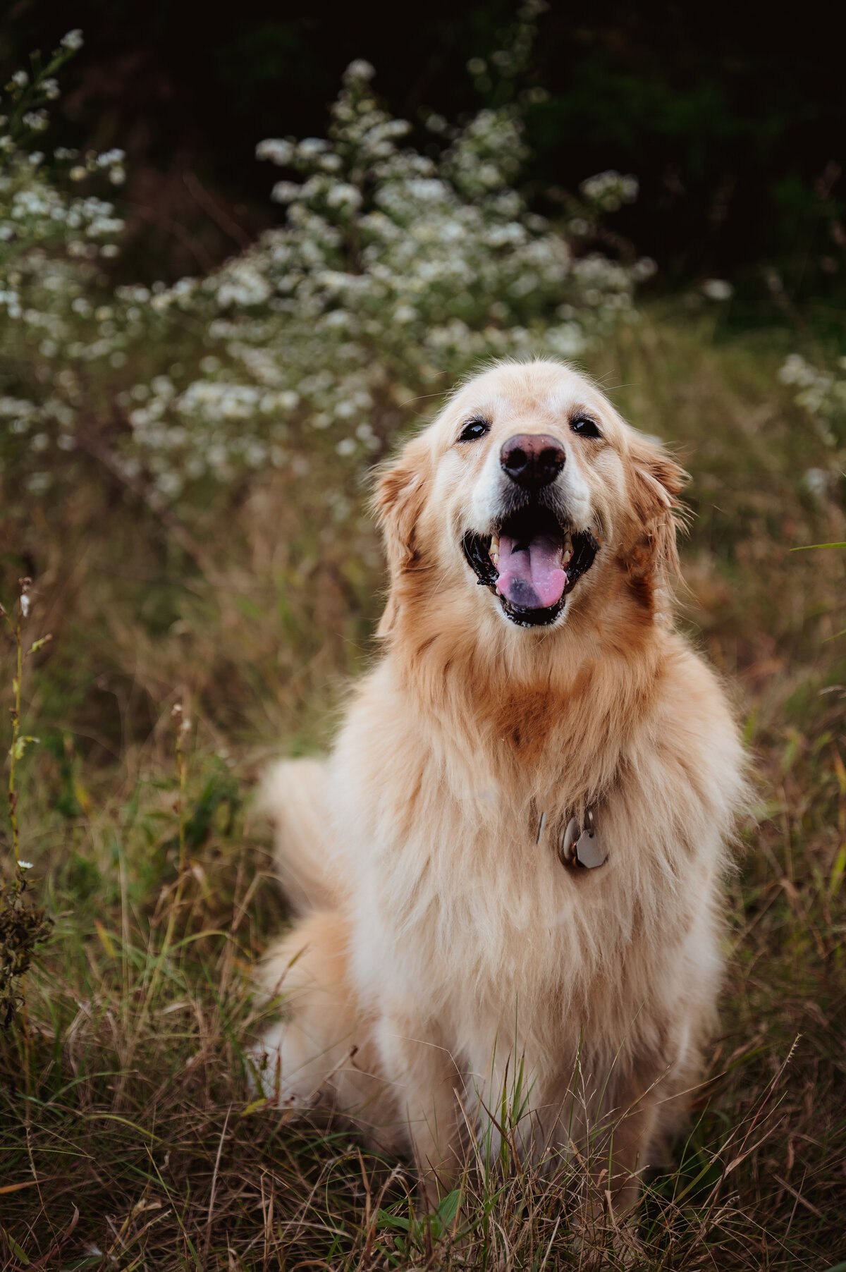 OliviaB_Fall2025_024