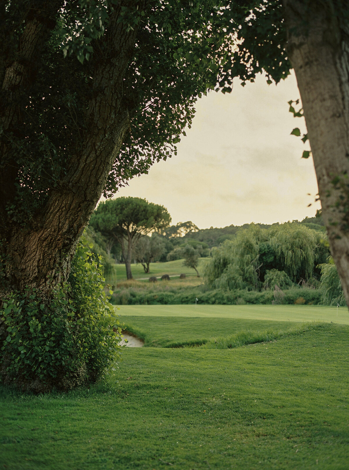 Wedding-Charlene&Rodrigo-AliceVicenteWeddings-671