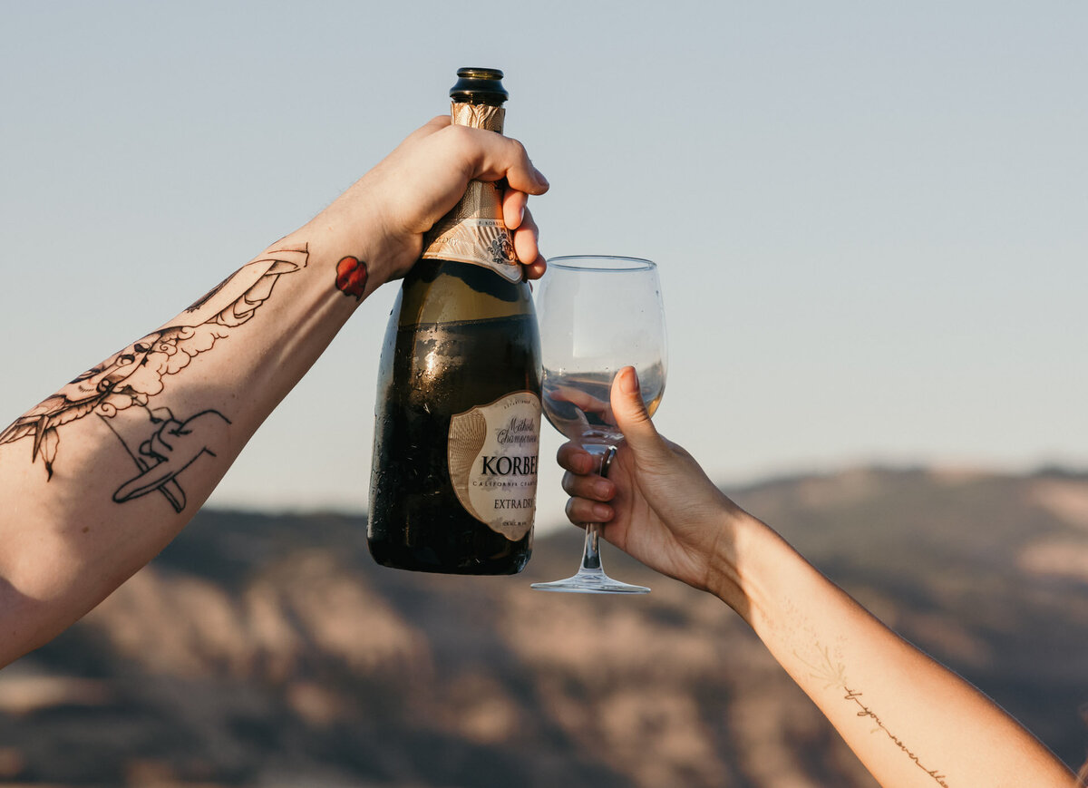 Ashes Photography Rowena Crest Couples Session-19