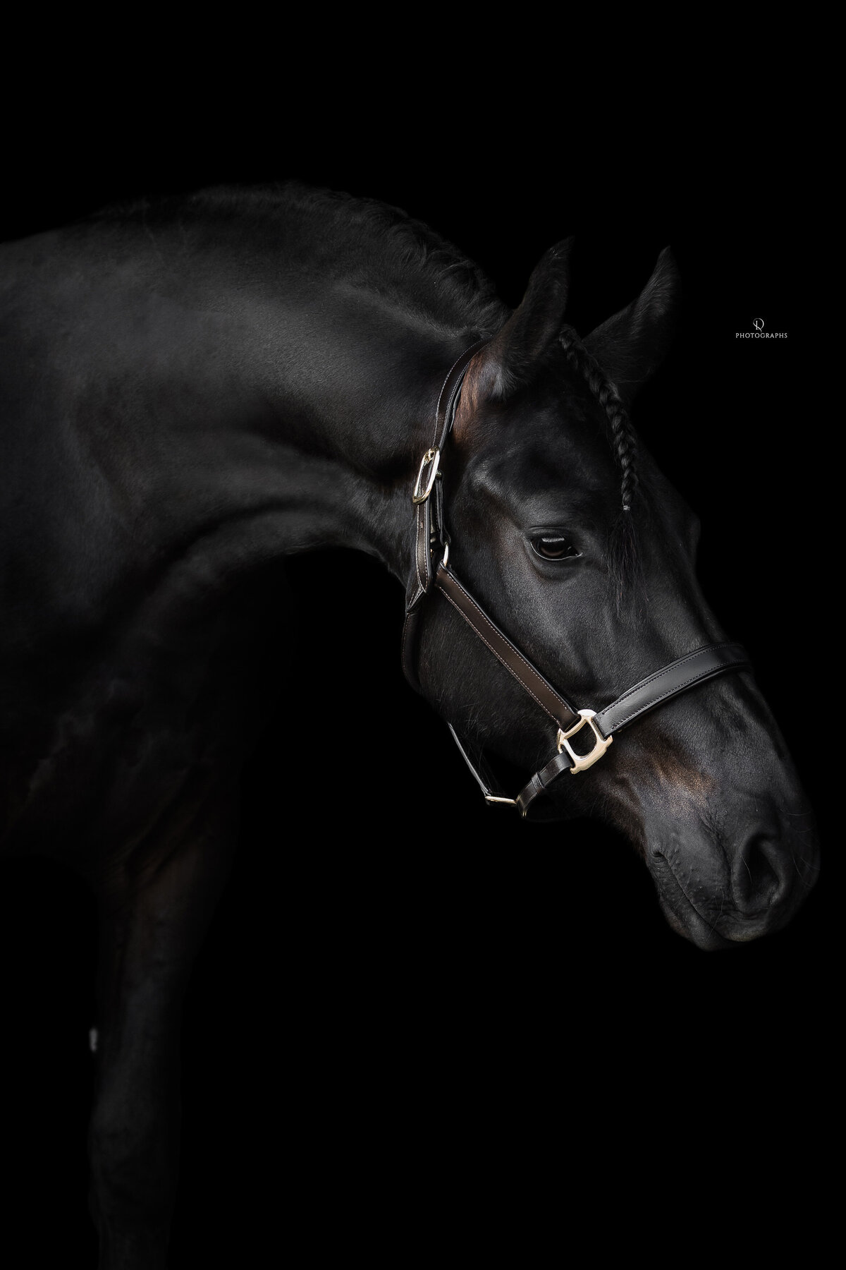 Fine-art fotografie met paard