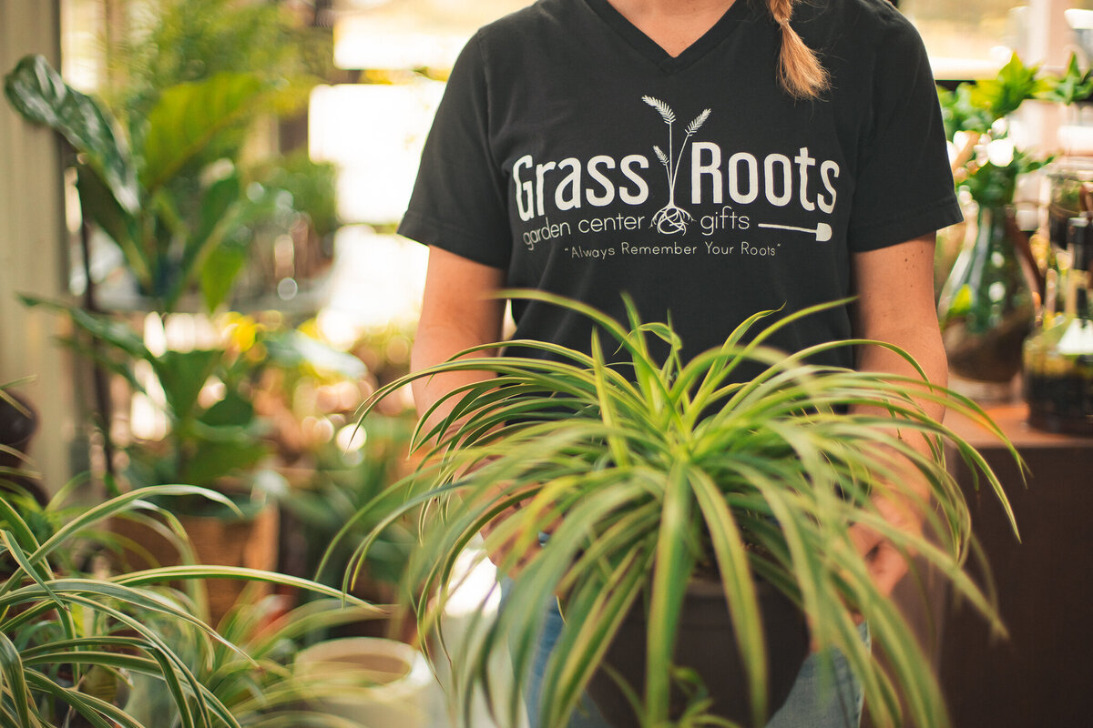 Grassroots Greenhouse-9197