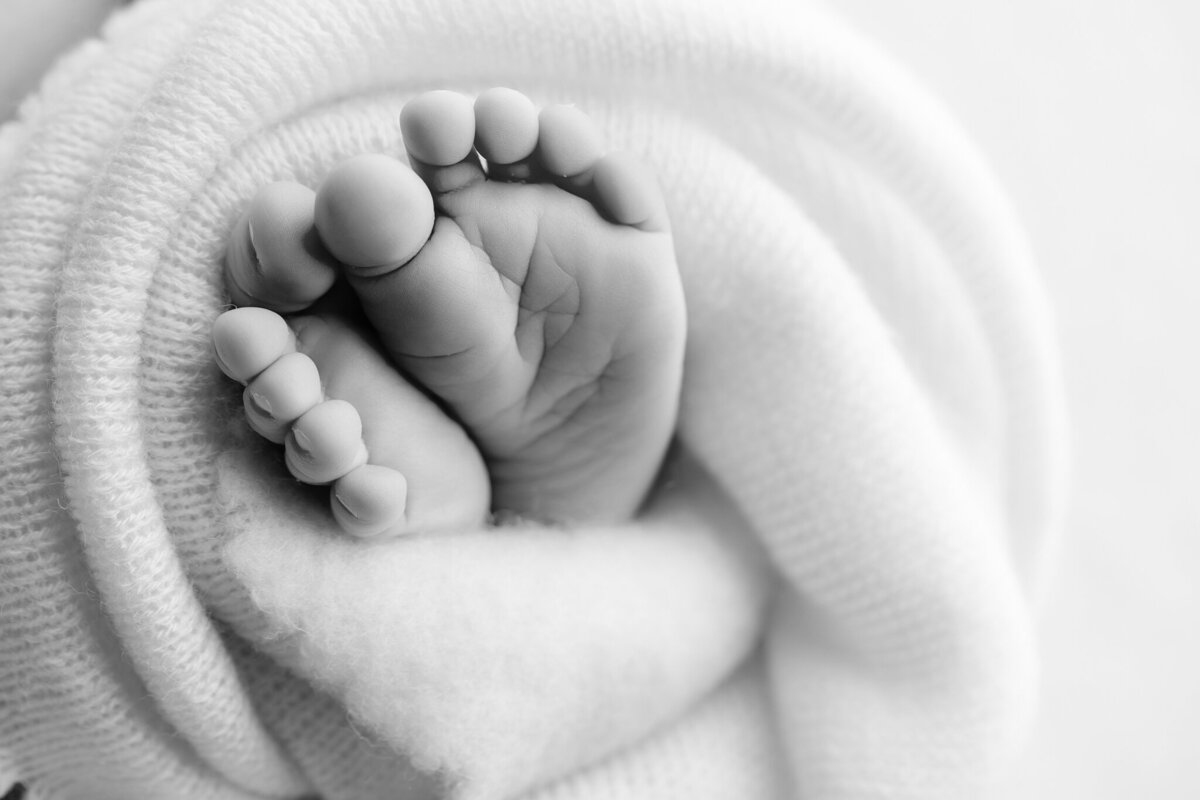 NW Arkansas newborn photographer, newborn photography near me, newborn portraits in NW Arkansas