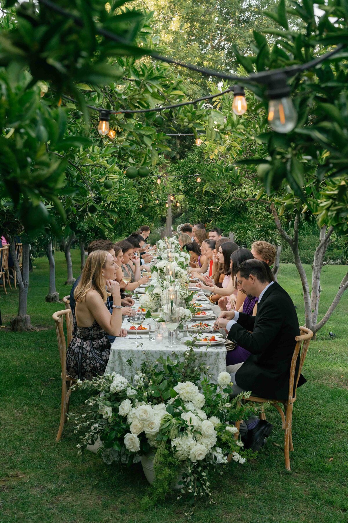 1WILLOWAND-BEN-WEDDING-PHOTOGRAPHER-NAPA-92
