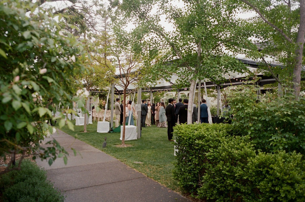 AnnaCalvin-Wed2025-528