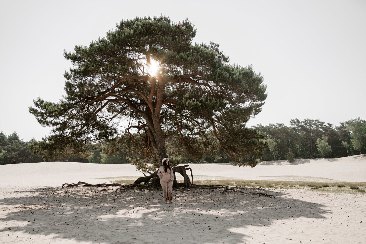 deze foto toont enzwanngerschapshoot in de soesterduinen met neutraletinten