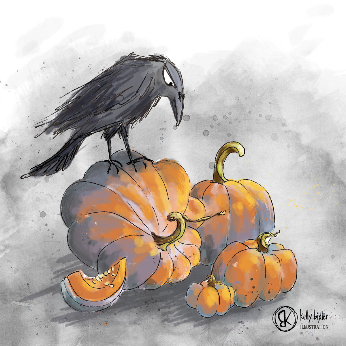 raven no text_200924