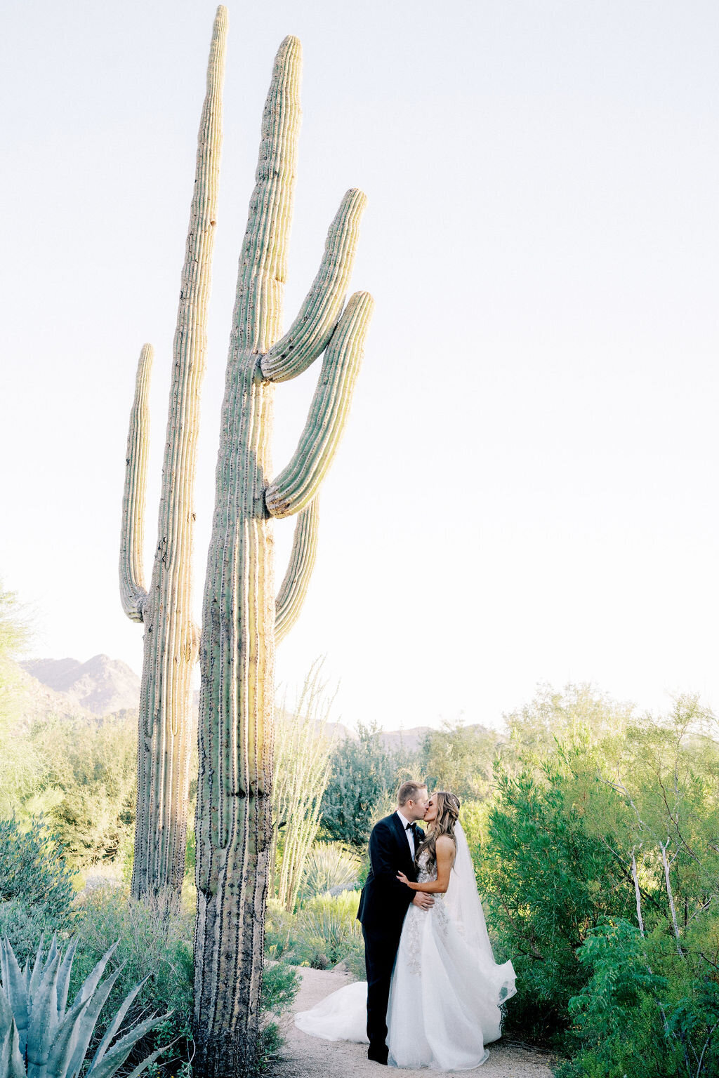 A newlywed couple shares a romantic kiss under towering Saguaro cacti, surrounded by stunning desert landscapes. A perfect moment captured in golden light.