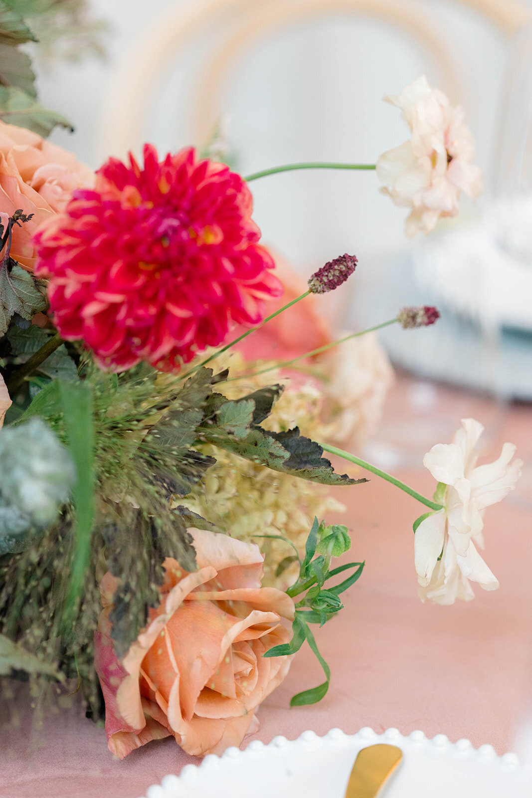 KKP_BBJ_Hermitage-92