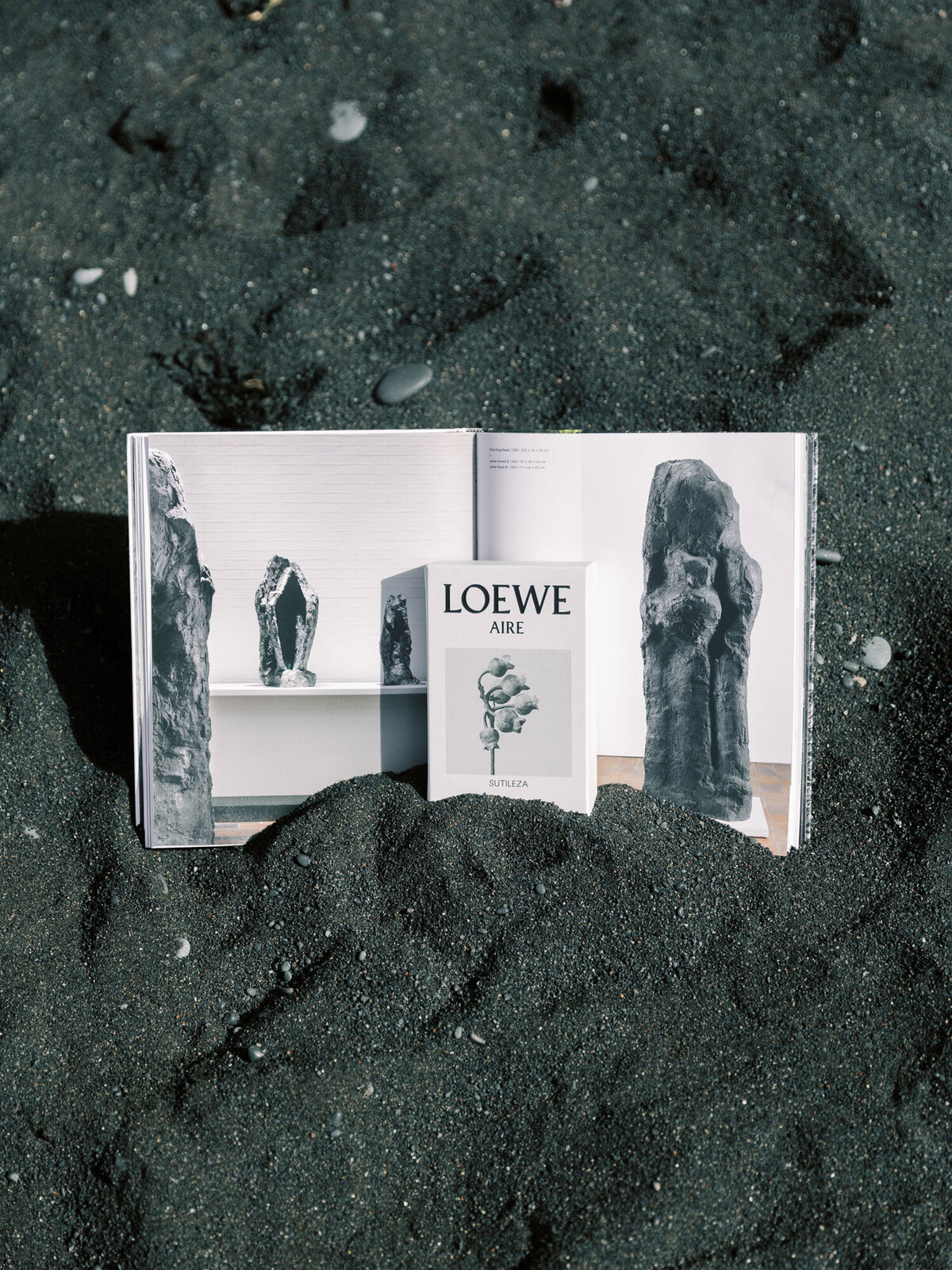 Vik Iceland-Fashion Editorial Lookbook-Destination-Samin Photography-7