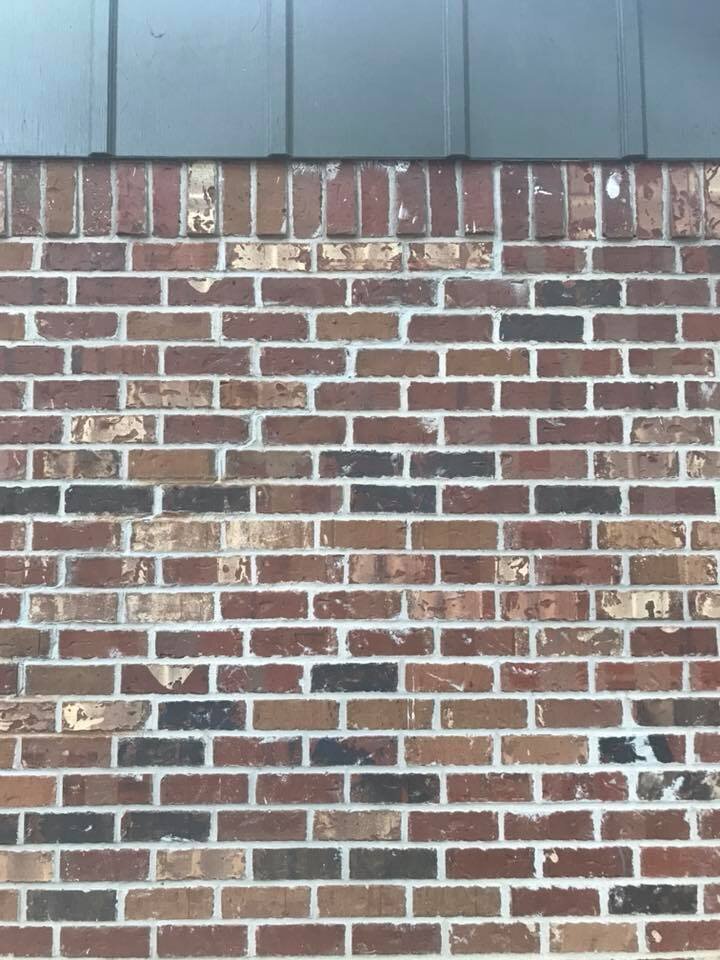 44151661_261290524576516_2014101617556586496_n