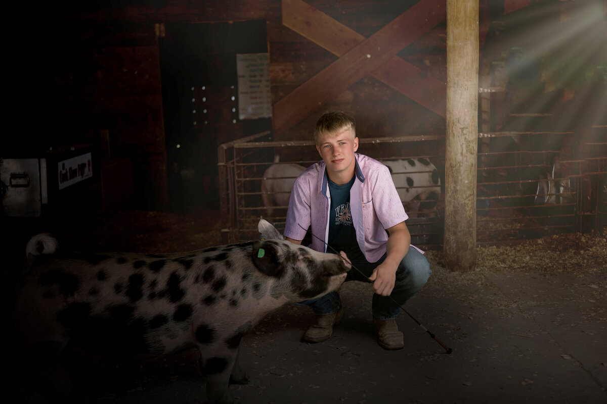 A high school senior in a pink shirt squats in a barn stall with a spotted pig