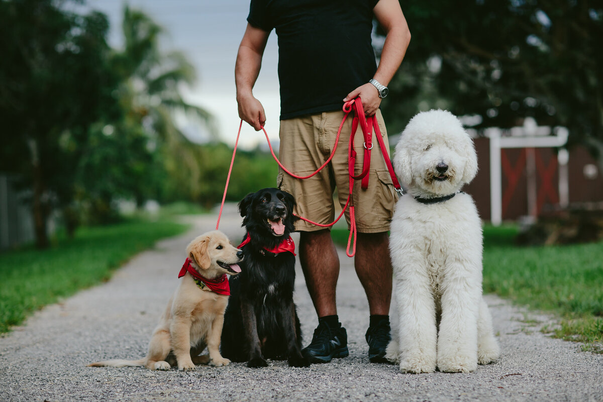 meyer-family-pet-portraits-154