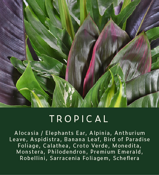 Greenery-Tropical