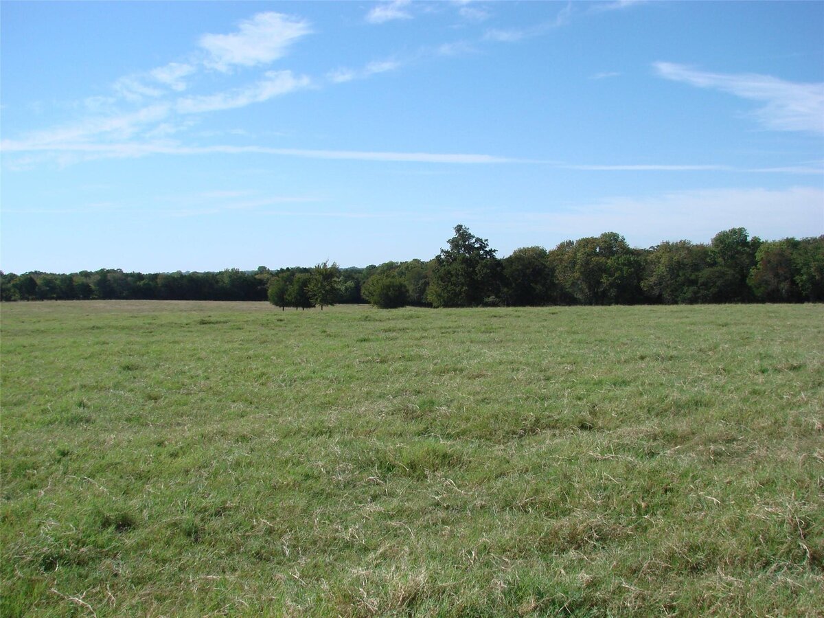 pasturefull2
