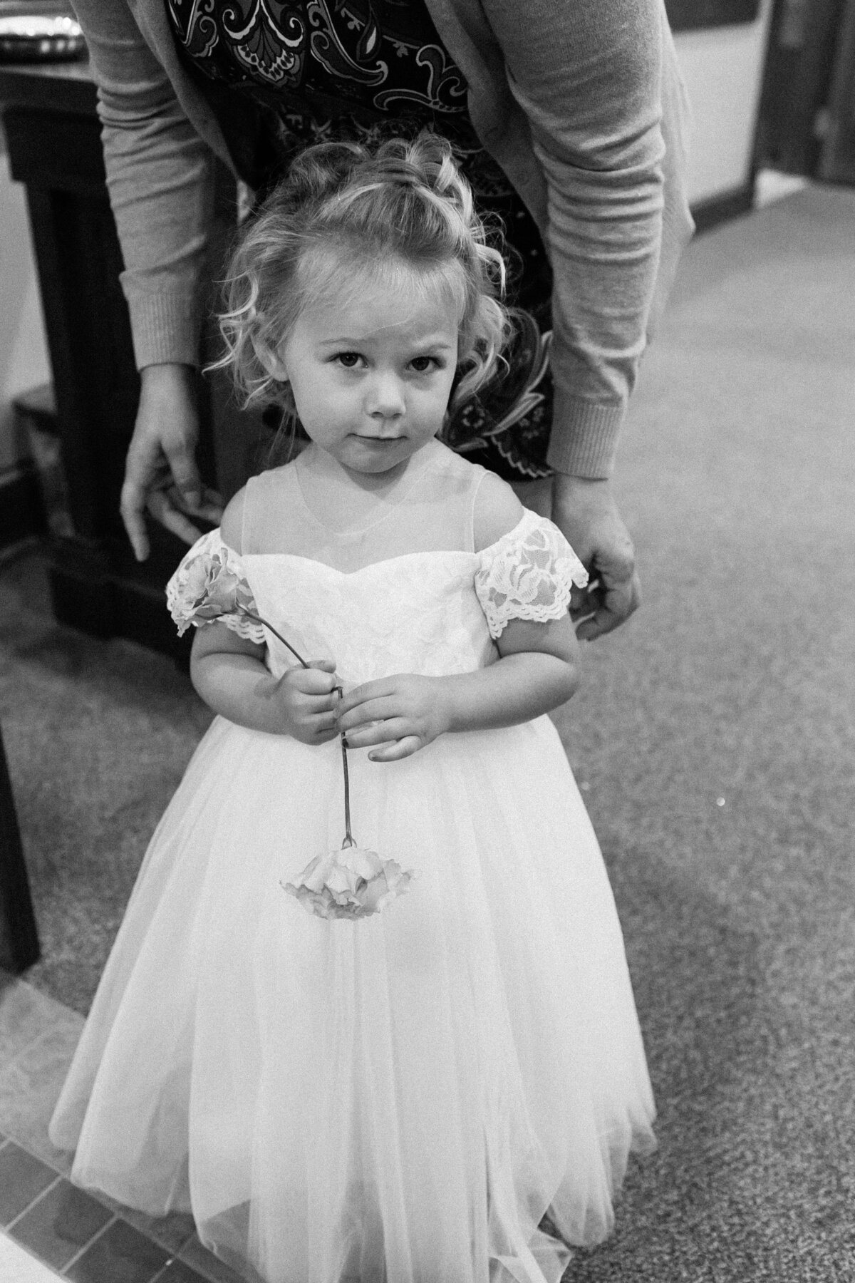 Shelby and David Wedding Collection-0468