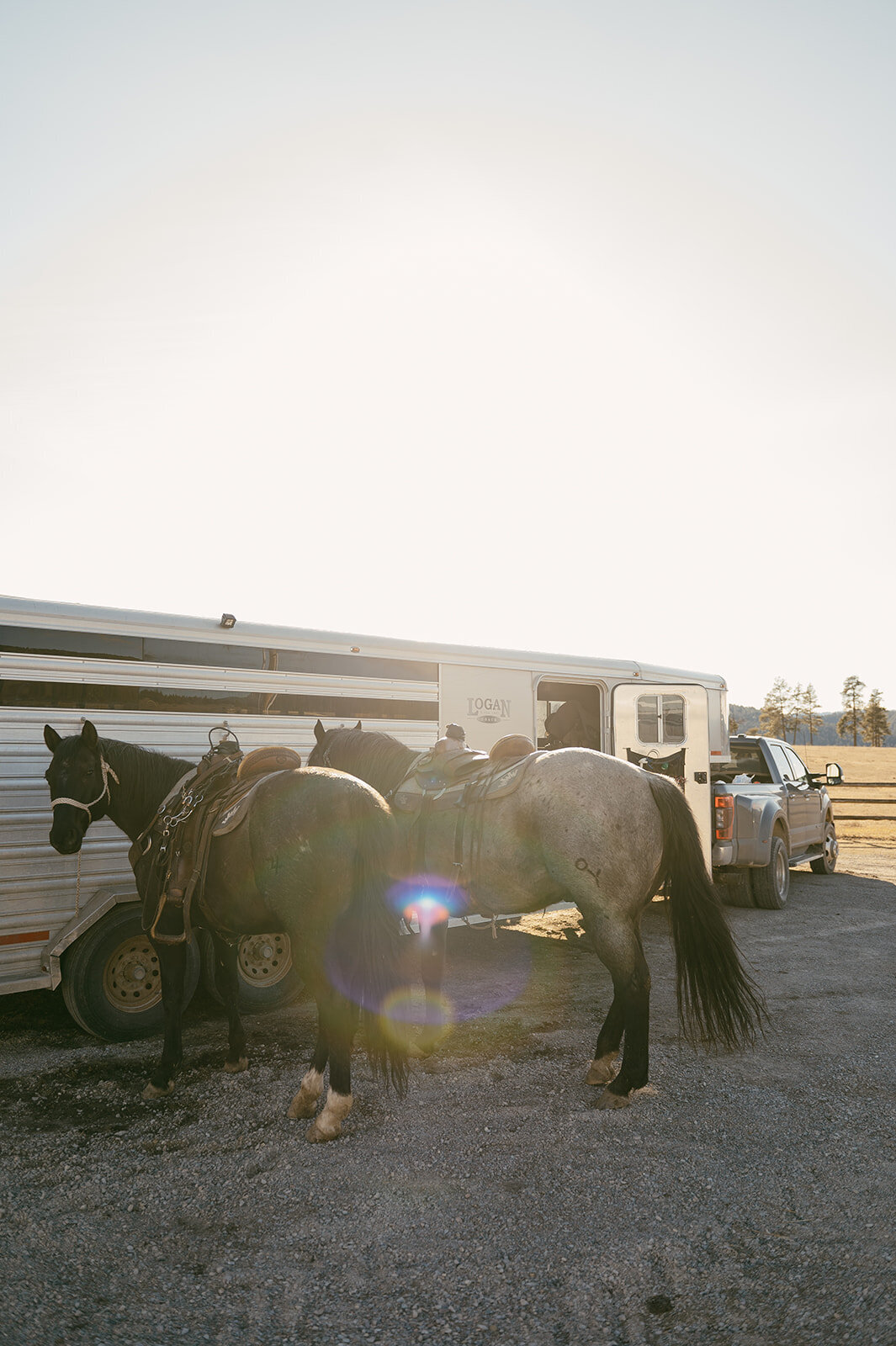 presley-gray-photo-montana-western-ranch-couples-photoshoot-1472