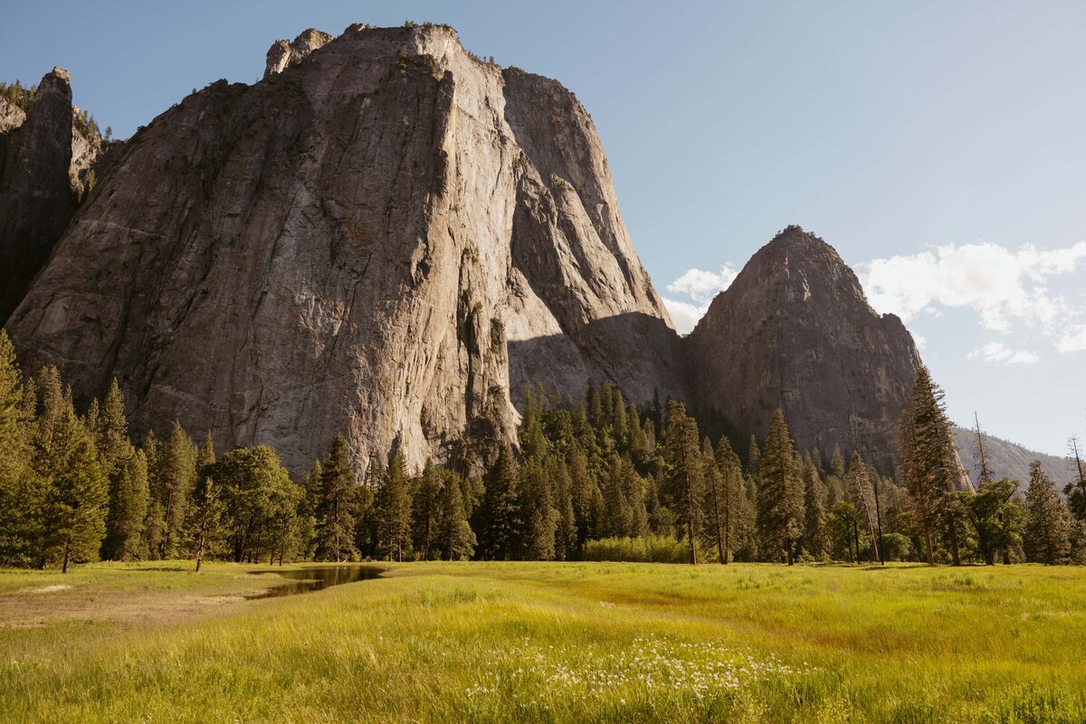 Yosemite National Park Meadow