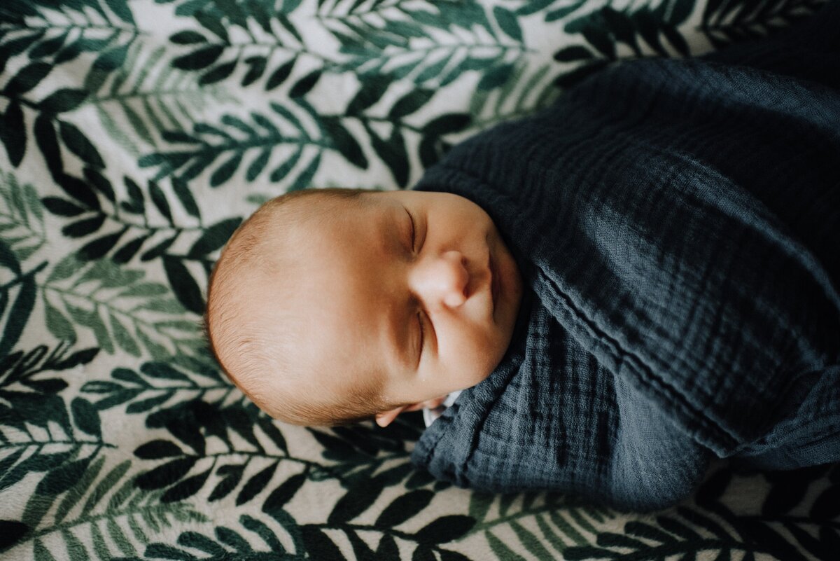 newborn portraits ohio