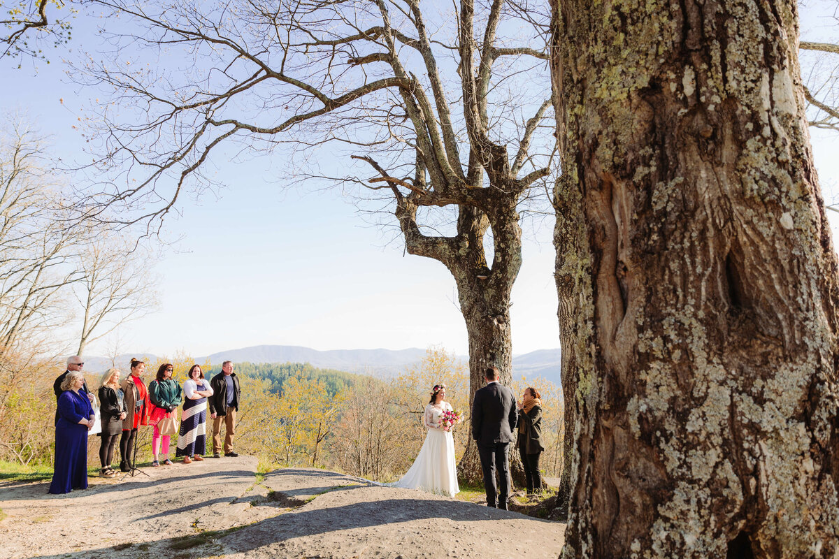 Jump-Offf-Rock-NC-Elopement-66