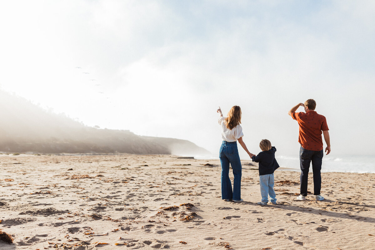 skyler maire photography - santa cruz family, bay area family photographer, beach family photos, san francisco family photographer-8434