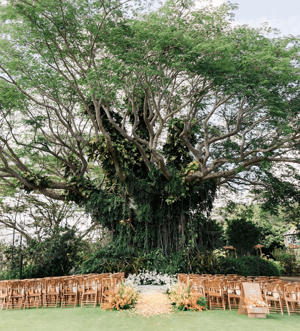 Screenshot 2025-11-25 at 8.56.00 AM