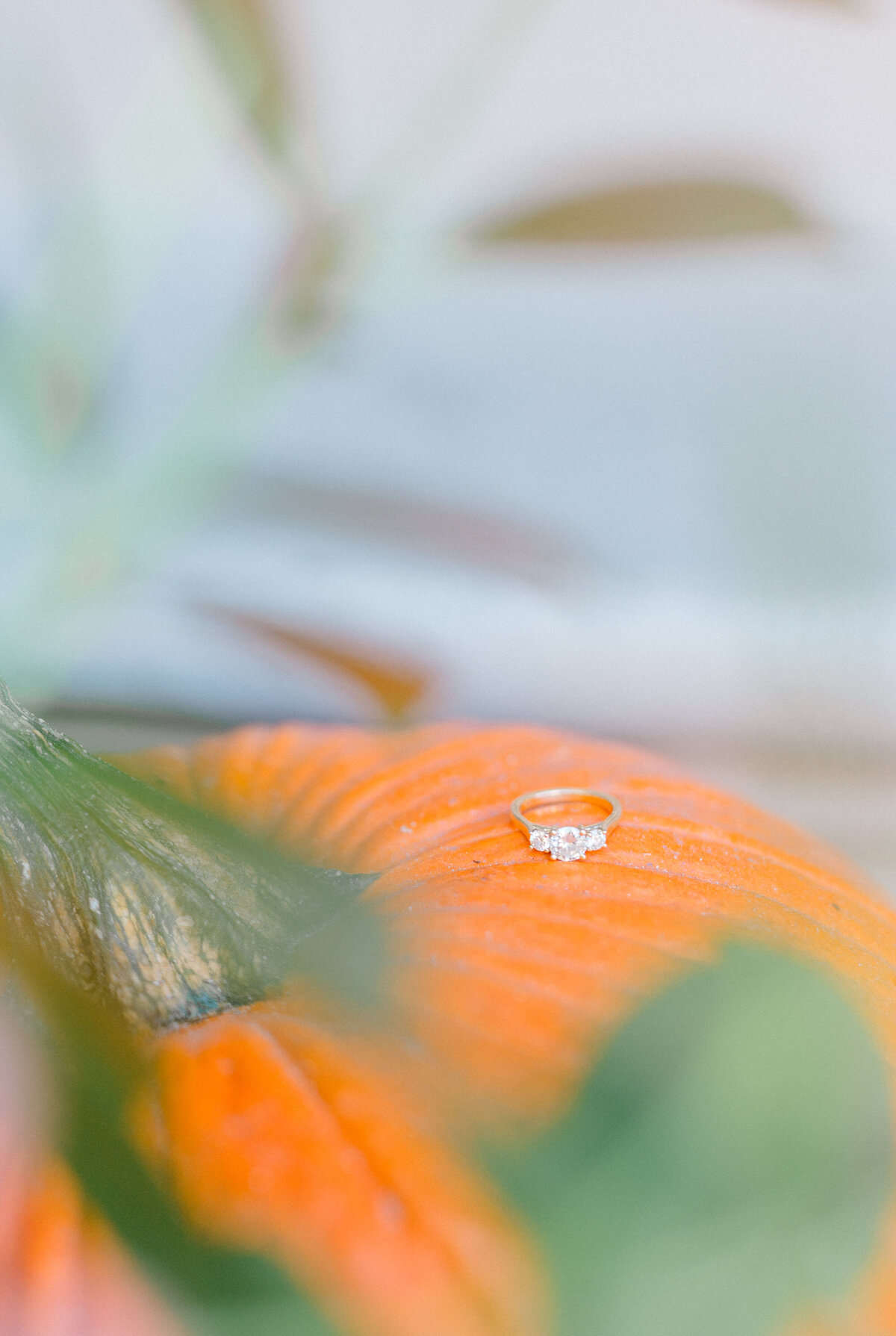 Rutland-Square-Boston-Massachusetts-Engagement-Session7