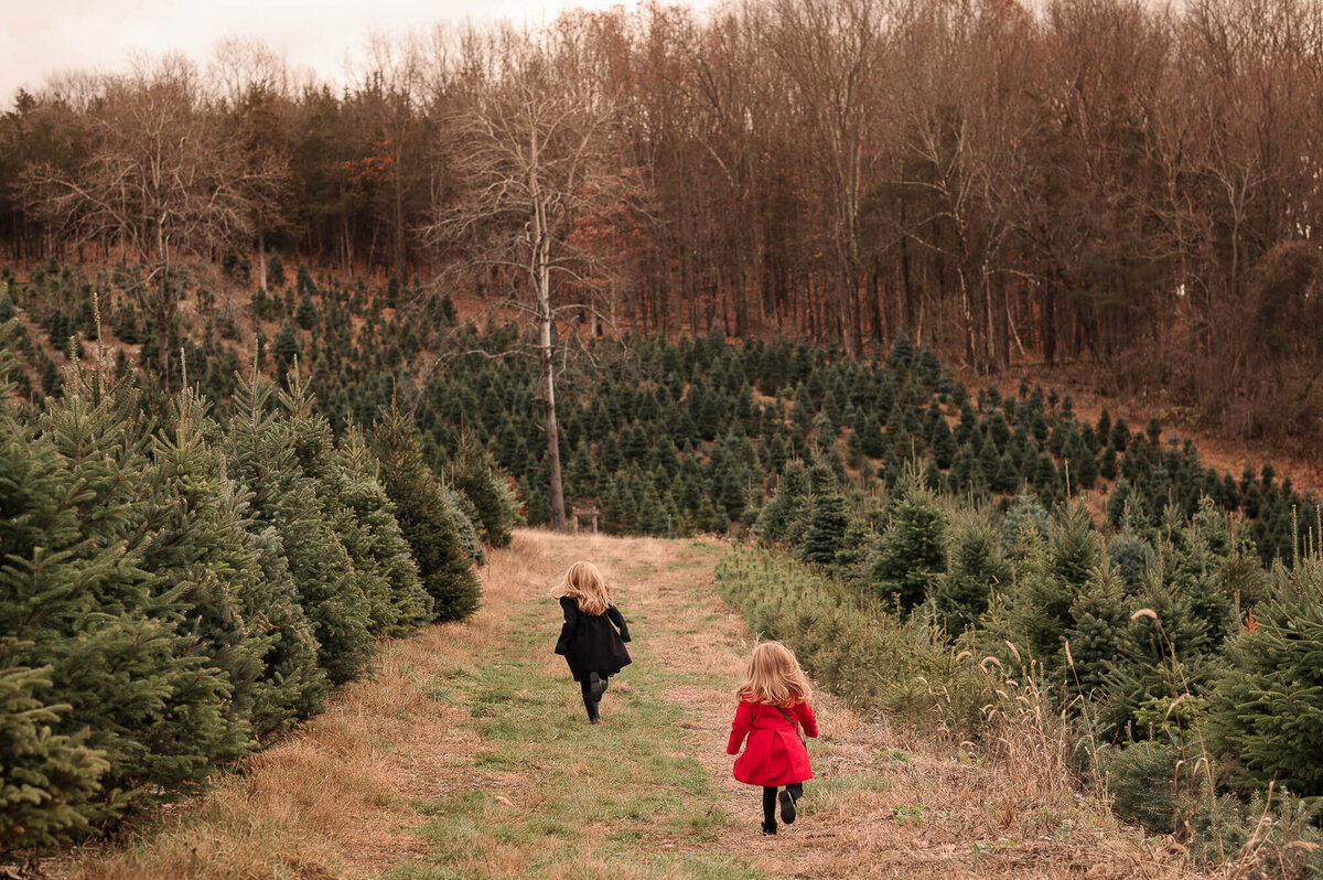 sullivan-county-new-york-family-mini-session-jamie-shields-photography-11