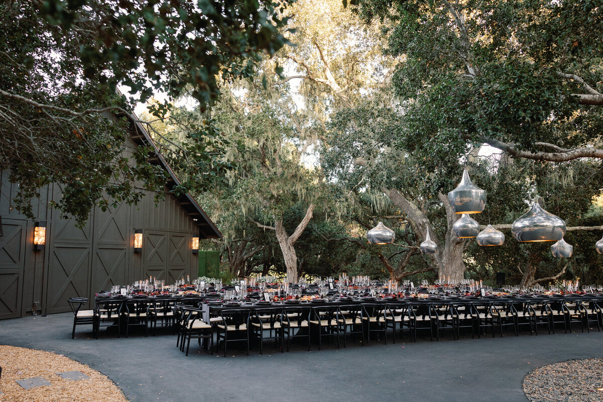 ©2024-ags-photo-Santa-Lucia-Preserve-Forest-130