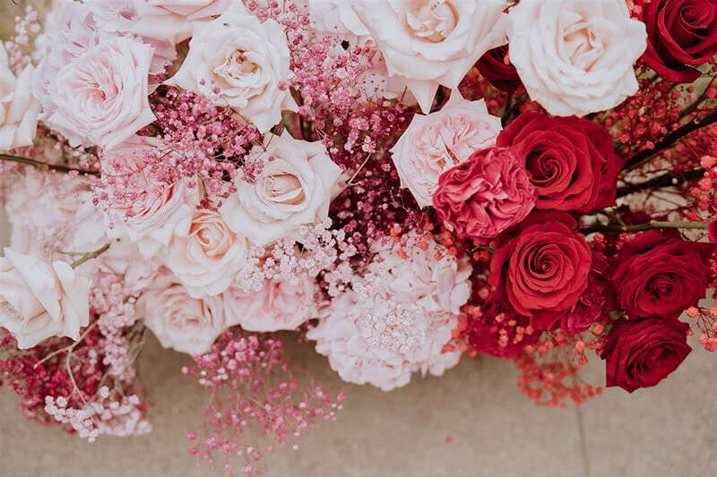 Pink and red venue roses-243
