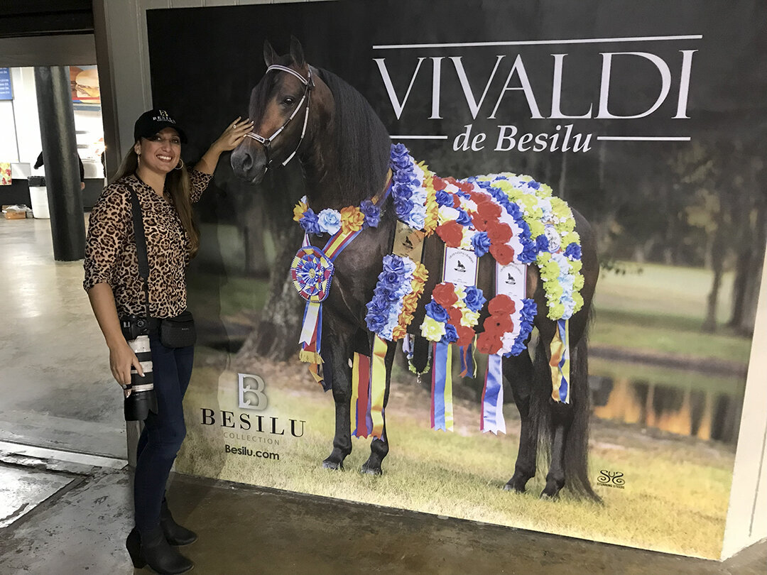 banner-vivaldi-de-besilu-puerto-rico-lr