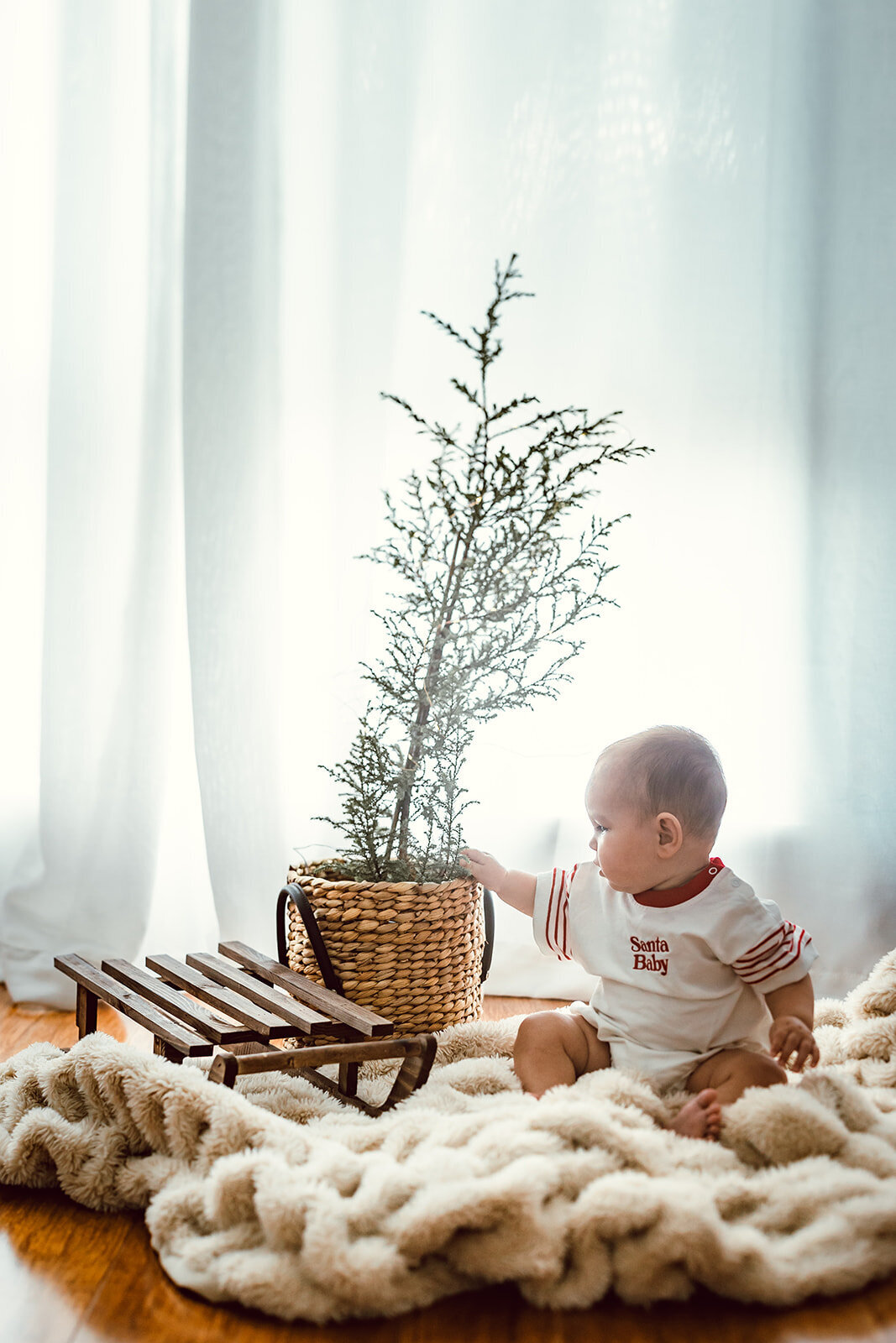 Christmas photos near me