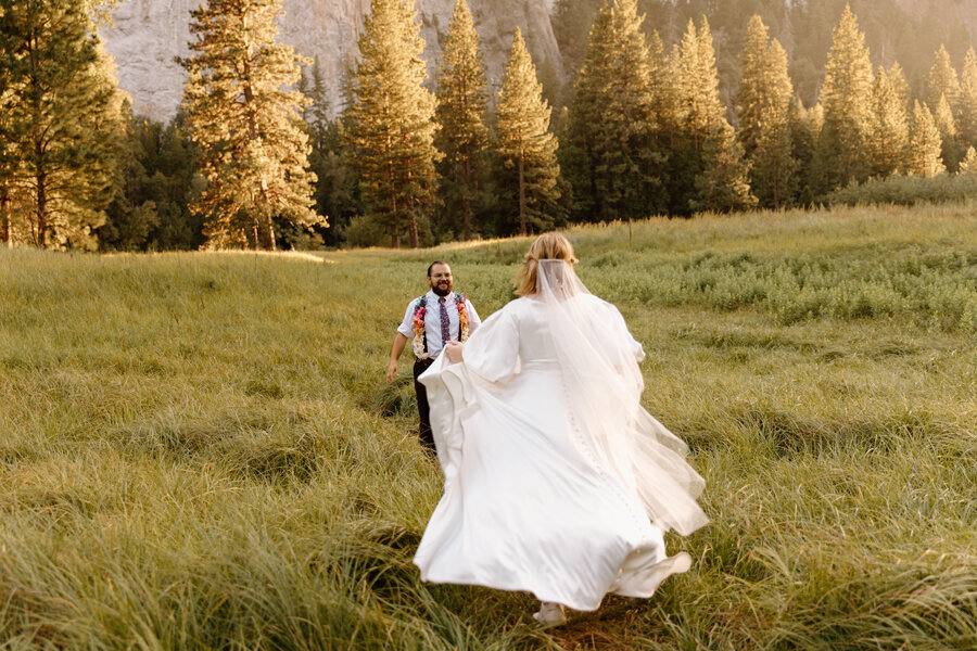 yosemite-wedding_9821 (2)